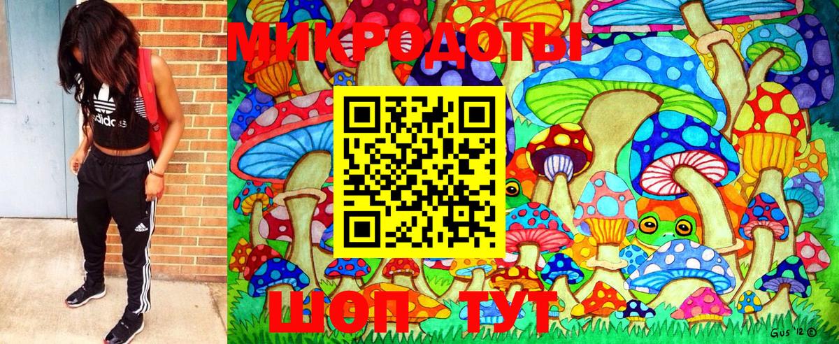 Псилоцибиновые грибы Psilocybine cubensis  Галлюциногенные грибы Psilocybe  Вход с VPN  Отрадный 