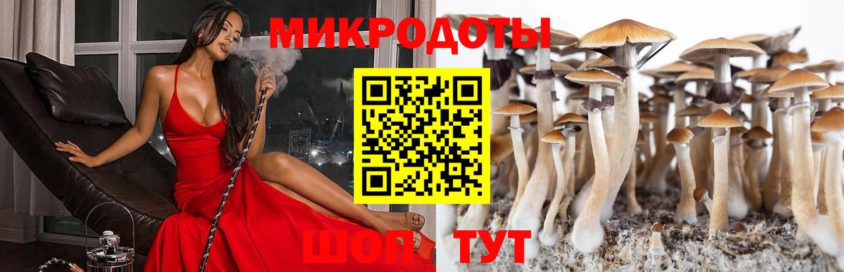 Галлюциногенные грибы GOLDEN TEACHER Отрадный